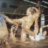 wrestling.jpg