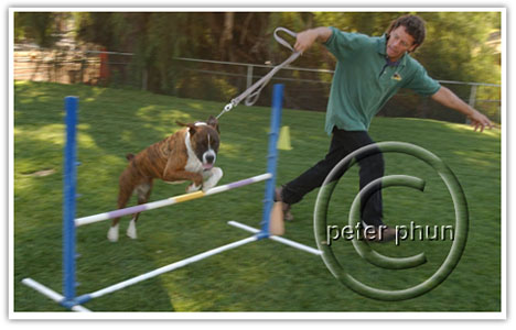 agility_h1
