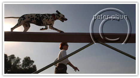agility_h3