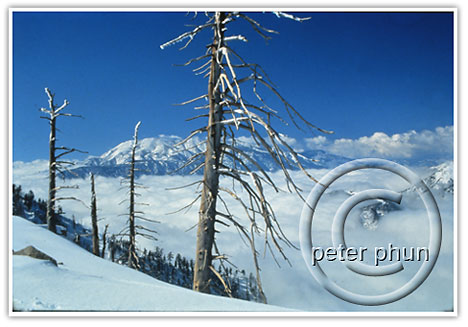 snow_mountain