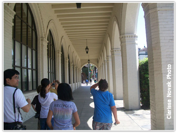 downtown_walk downtown_walk