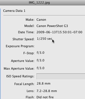high_shutter_speed high_shutter_speed