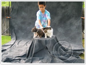 pet_behind1 pet_behind1
