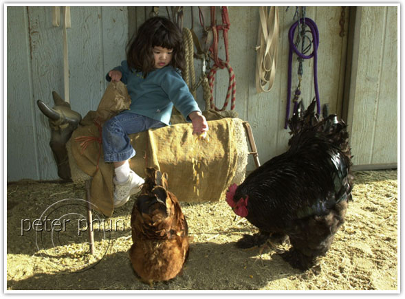 barn_feeding