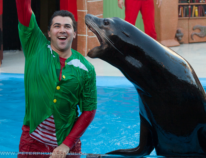 sealion-trainer