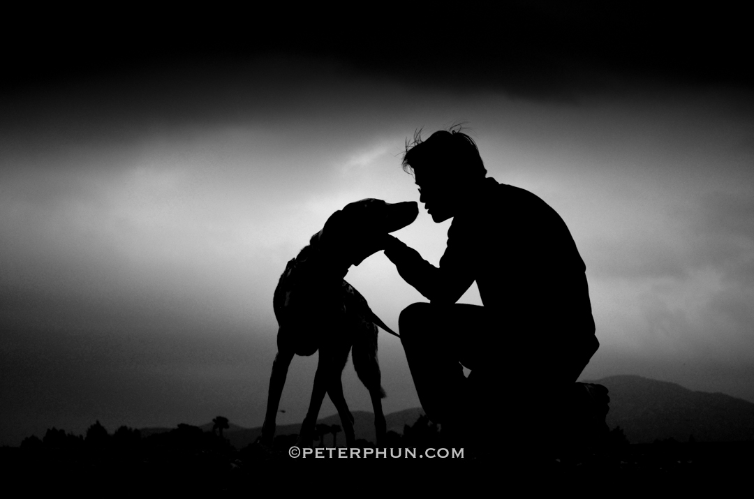 Best of Silhouettes