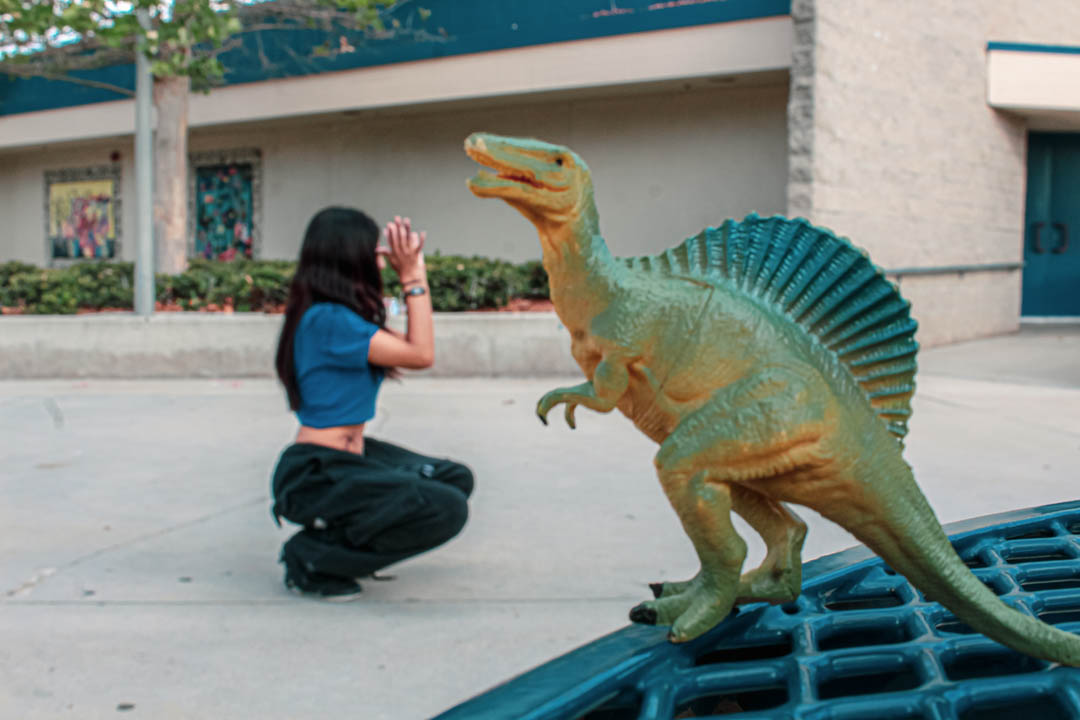 Best of our Forced Perspective efforts