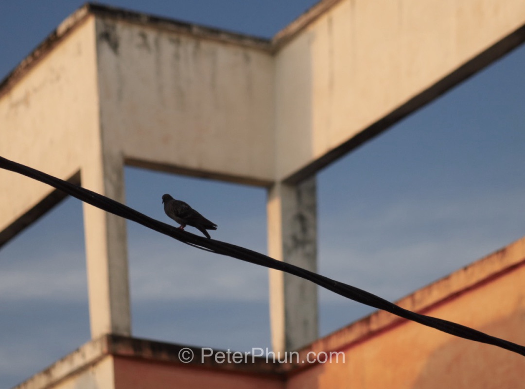 Morning market in Sungai Ara